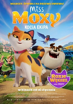 Miss Moxy: kocia ekipa